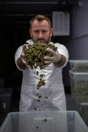 Hanfladen CBD, CBG und CBN. Hanföle, Trockner, Kleidung
